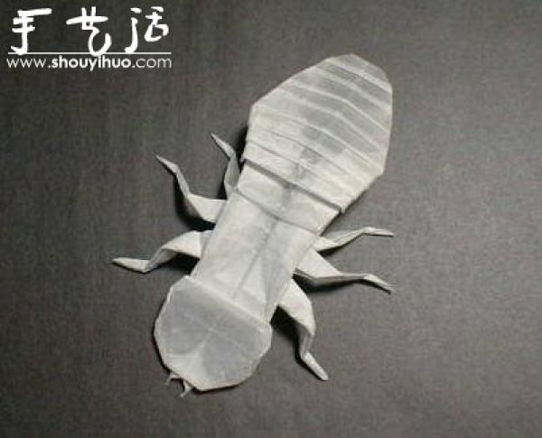 Appreciation of Insect Origami Works