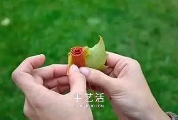 How to make roses with fallen leaves, illustrations of how to make maple leaf roses