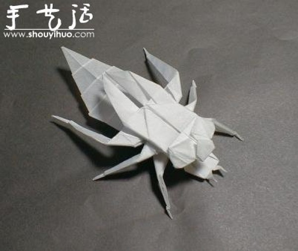 Appreciation of Insect Origami Works