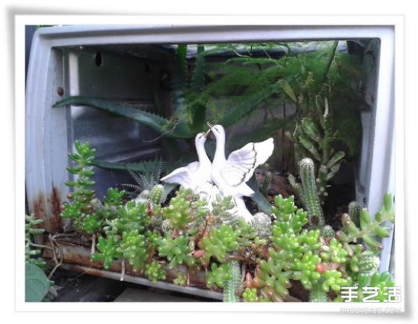 Micro Garden: Beautiful Bonsai Made by Renovating Used Toasters