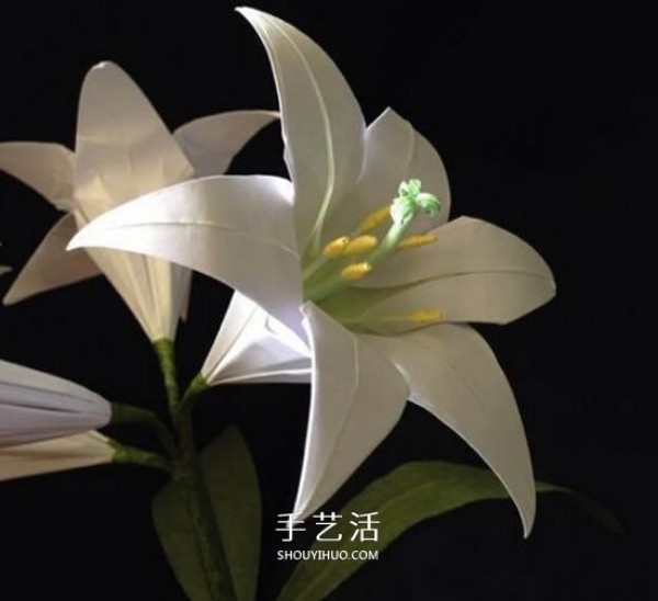 Illustration of how to fold paper lilies, step-by-step instructions for folding lilies