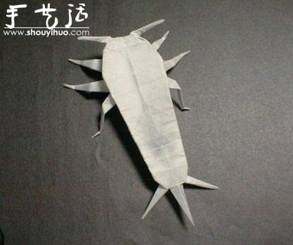 Appreciation of Insect Origami Works