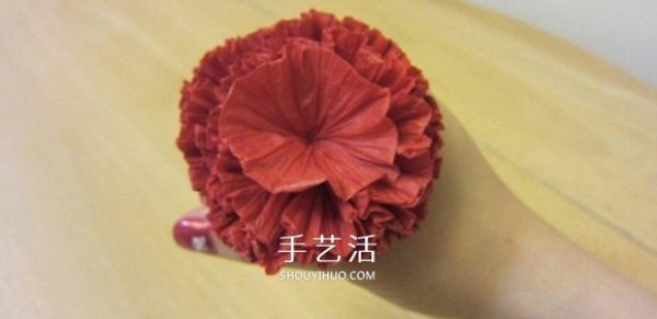 How to fold carnations with detailed illustrations and Mothers Day carnation origami tutorial