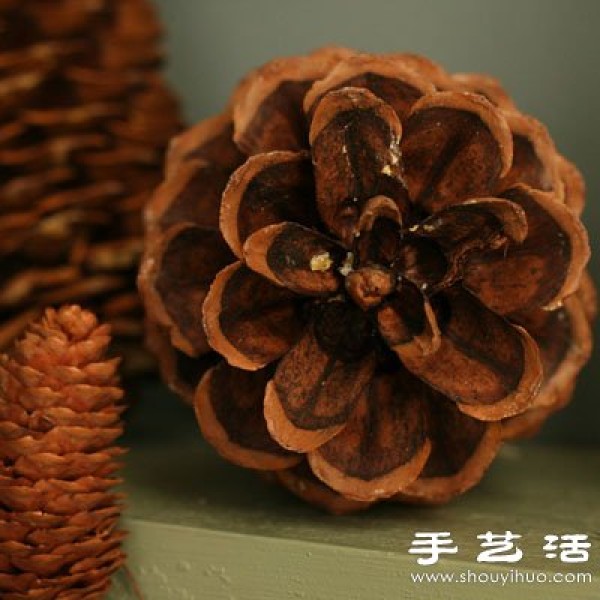 Pine nuts turn waste into treasure DIY beautiful holiday decorations