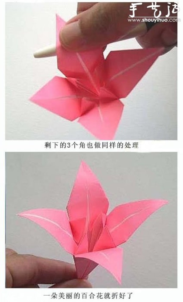 Beautiful Lily Origami Tutorial