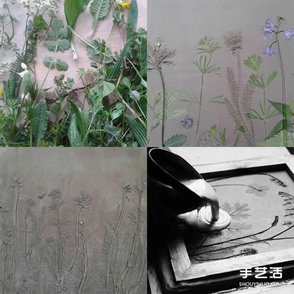 Put flowers and vegetables into clay to make plant fossil tiles