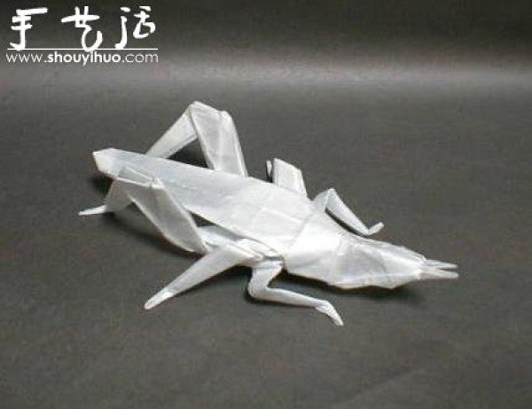 Appreciation of Insect Origami Works