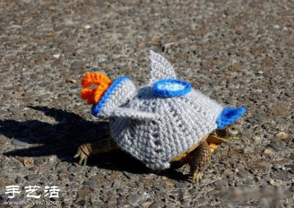 Creative knitting: What if you put clothes on the turtle! 