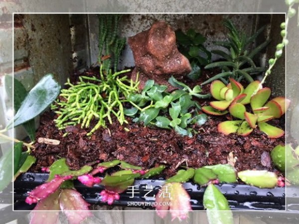 A small way to make a garden bonsai by using old oven waste