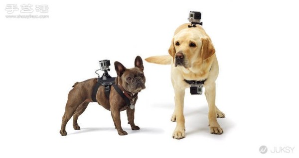 Special kit for the first-person GoPro camera for dogs! 