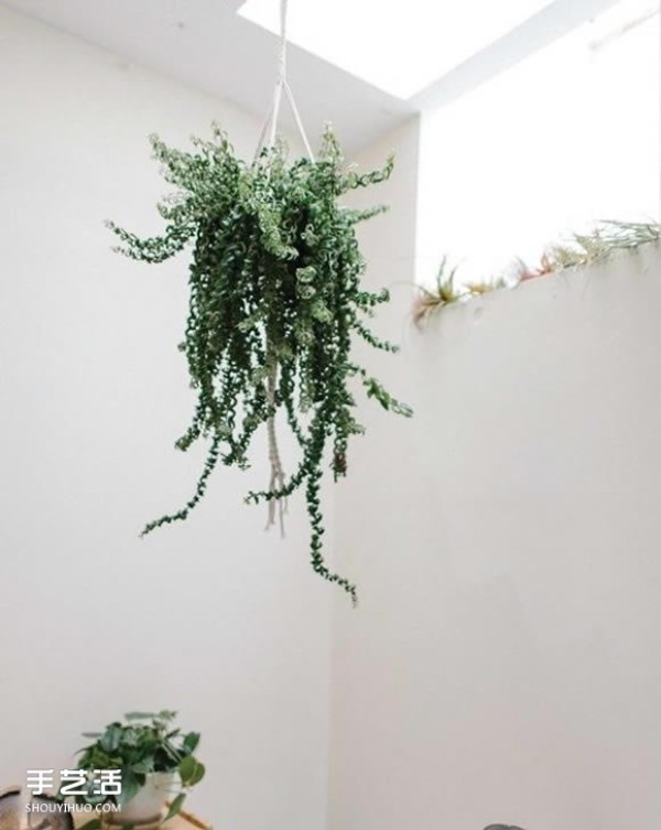 How to make your own hanging rope rack to make your potted plants more distinctive