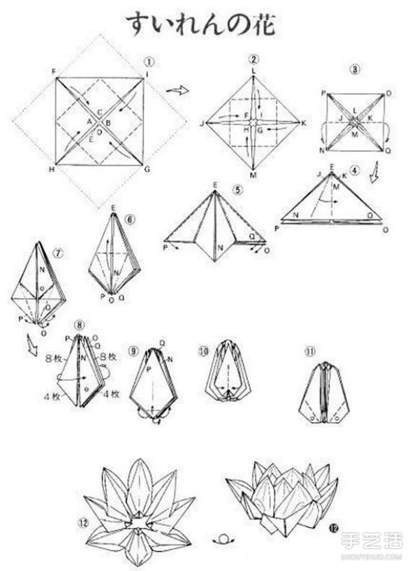 The origami method of the complex lotus, illustrated with the steps of folding the water lily