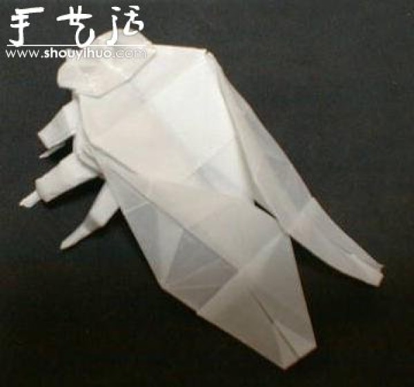 Appreciation of Insect Origami Works