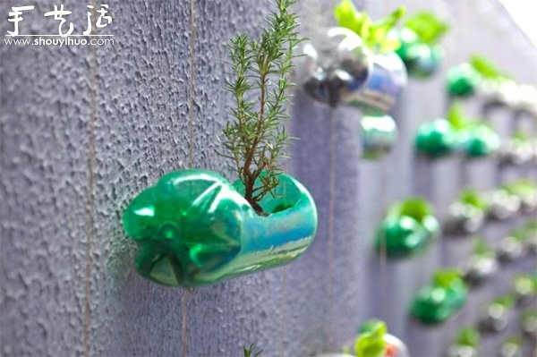 DIY vertical plastic bottle garden on the wall