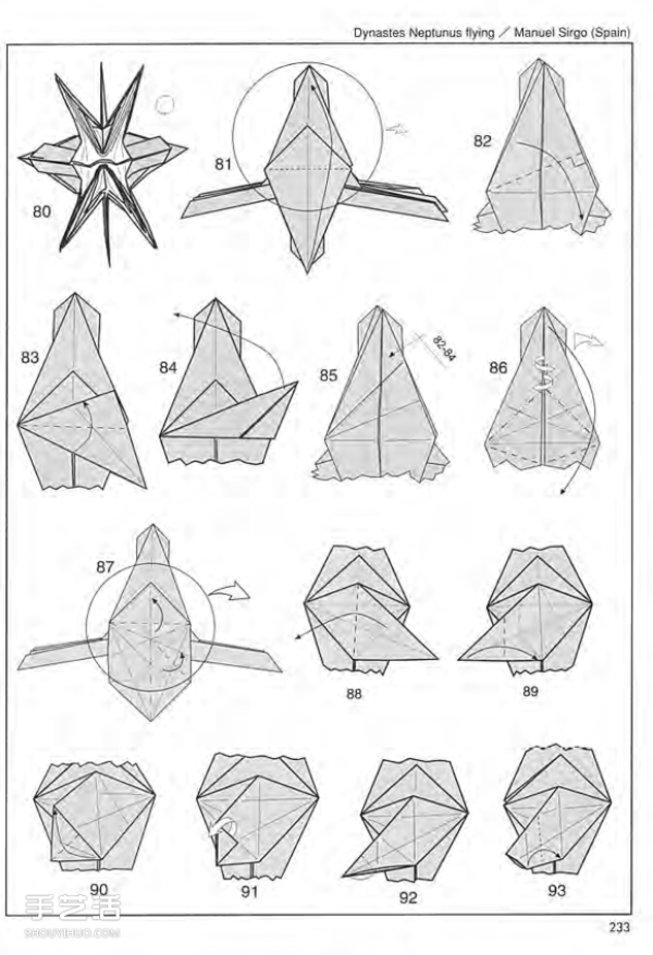 How to origami Poseidons Insect. Illustration of how to fold Poseidons Insect.