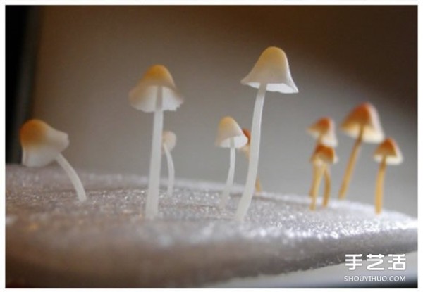 Ultra-light clay mushroom hand-making tutorial, it can be fake and real! 