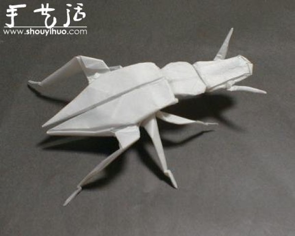 Appreciation of Insect Origami Works