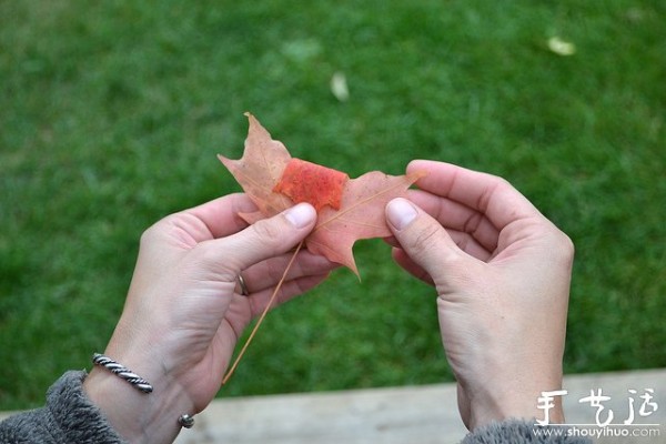 Handmade roses with fiery red maple leaves