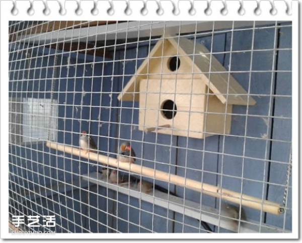 How to transform a chicken coop into a birdhouse, a homemade large-space birdhouse DIY tutorial