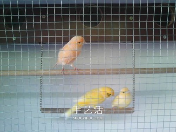 How to transform an old bookshelf into a bird cabinet. DIY an old furniture to make an extra large birdcage