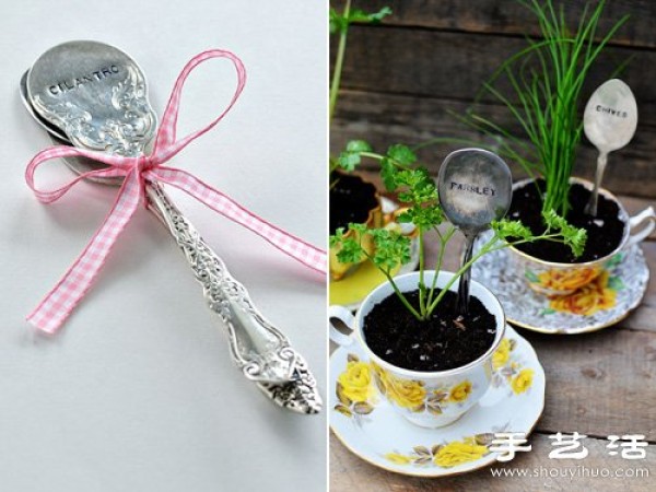 Ceramic cup and saucer + retro metal spoon DIY to make a small fresh potted plant