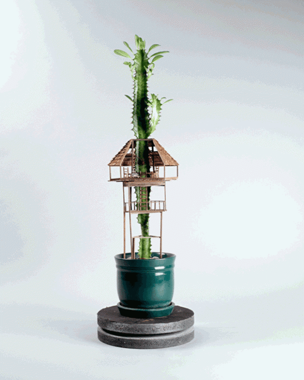 DIY exquisite treehouse model on a potted plant, a Lilliputian-like miniature building