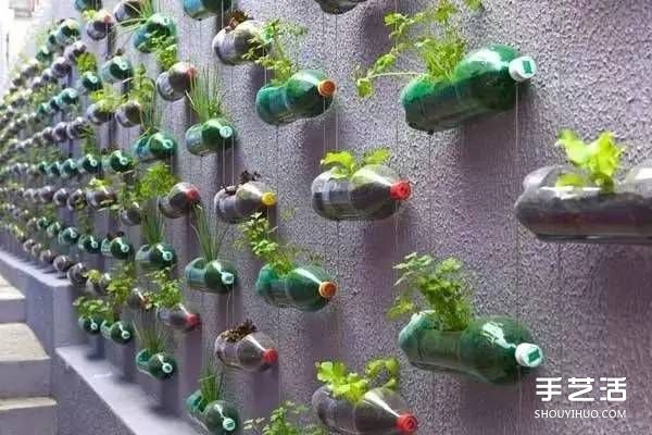 A creative collection of DIY flower pots made from waste items