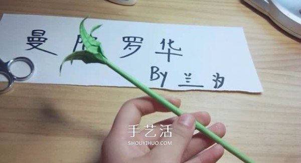 Illustration of folding method of Mandala flower, how to fold white Bana flower by hand