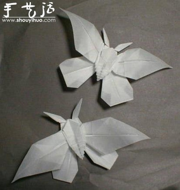 Appreciation of Insect Origami Works