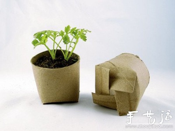 Home DIY biodegradable flower pots