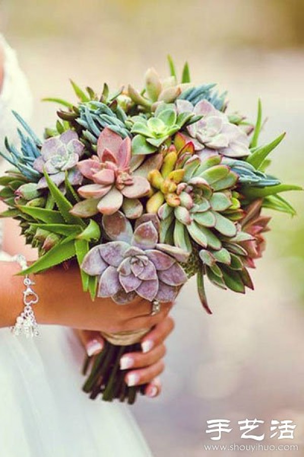 DIY environmentally friendly personalized wedding decoration with succulent plants