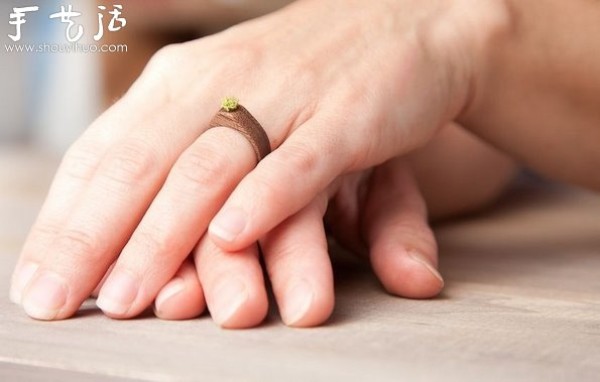 Ring carved from solid walnut