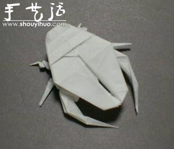 Appreciation of Insect Origami Works