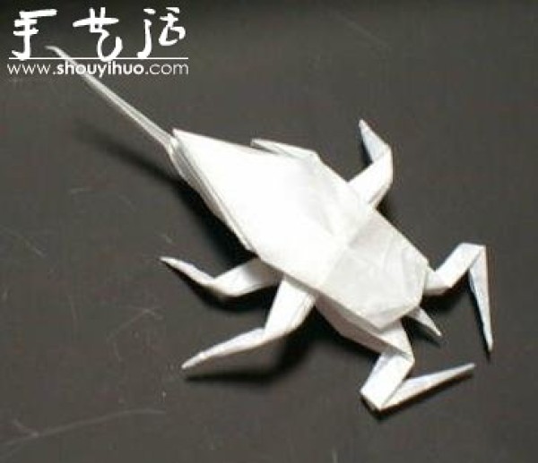 Appreciation of Insect Origami Works