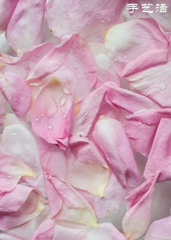 Rose petal DIY bath products whiten and maintain delicate skin