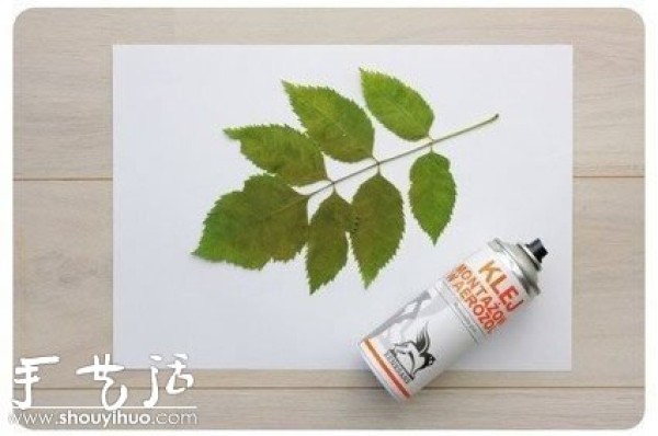 Creative DIY plant pattern decorative painting