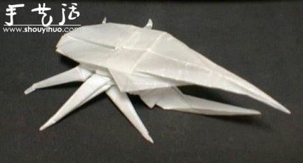 Appreciation of Insect Origami Works