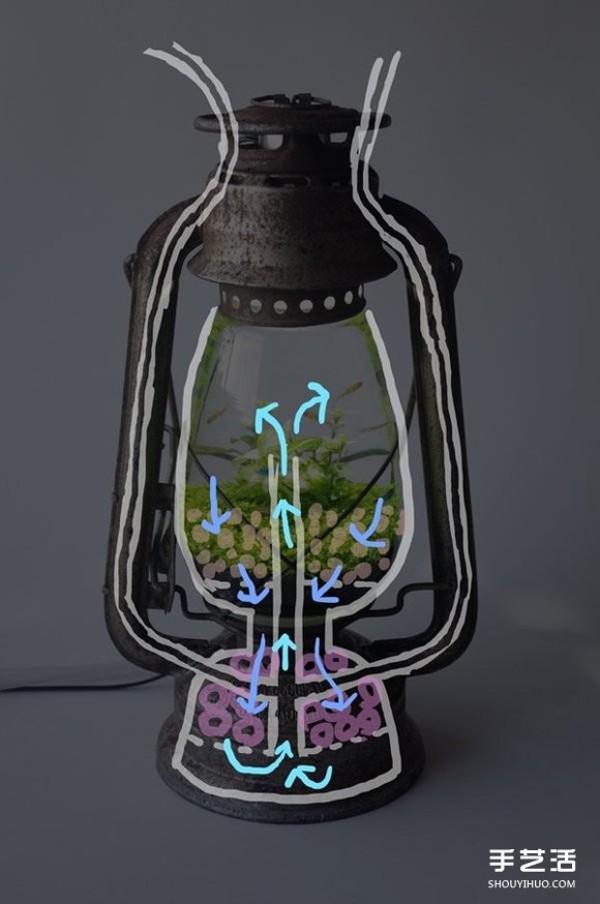 Of course you can also grow potted plants if you transform kerosene lamps into aquariums