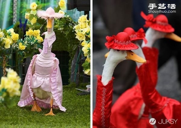 The Australian Royal Easter Show puts on a duck fashion show