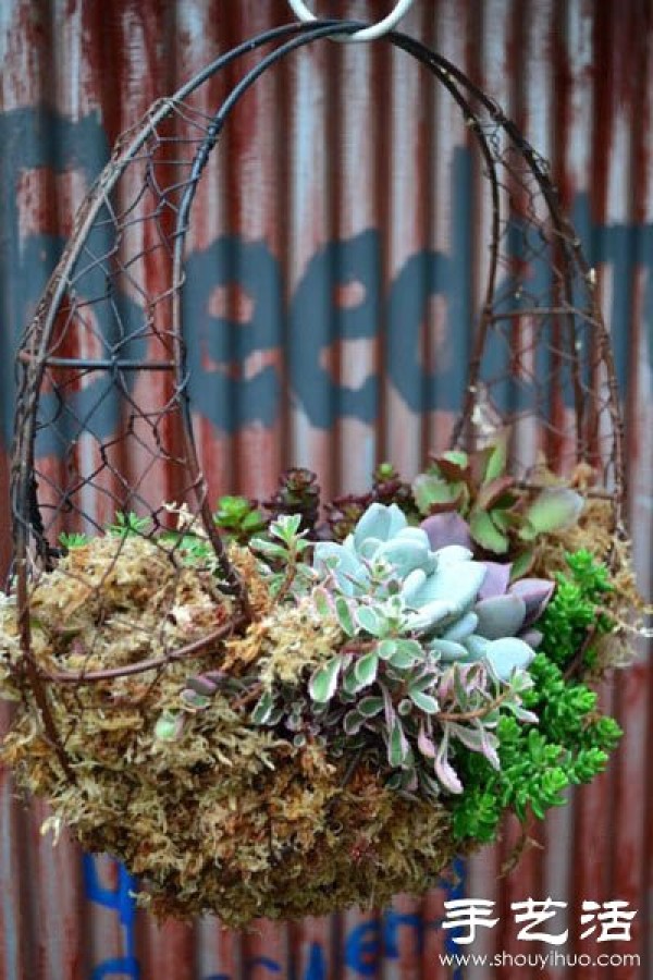 DIY environmentally friendly personalized wedding decoration with succulent plants