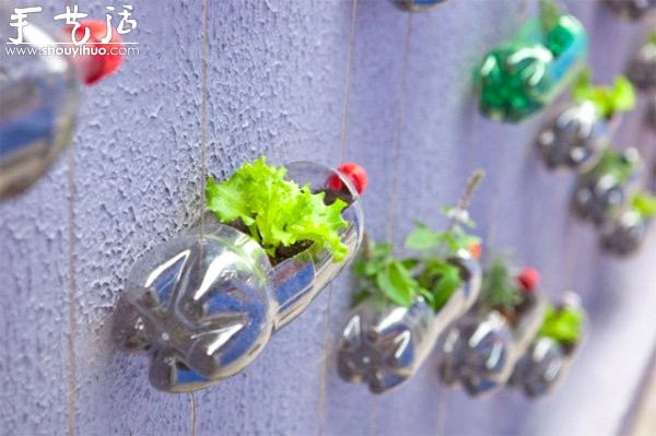 DIY vertical plastic bottle garden on the wall