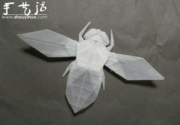 Appreciation of Insect Origami Works