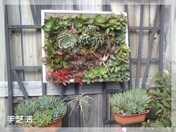 DIY method of transforming a mirror frame into a creative succulent flowerpot