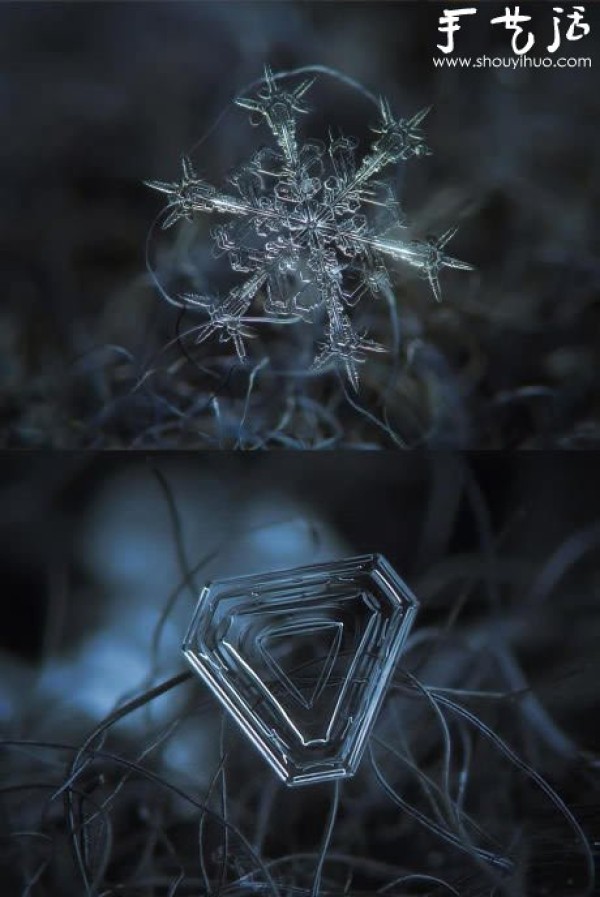 Crystal snowflakes captured with the lens reversed to macro