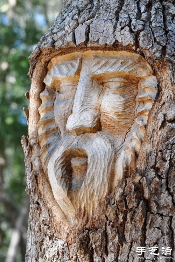 The fusion of tree carving sculpture art and nature