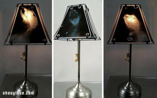 Waste animal bone X-rays to create alternative light-transmitting lampshades