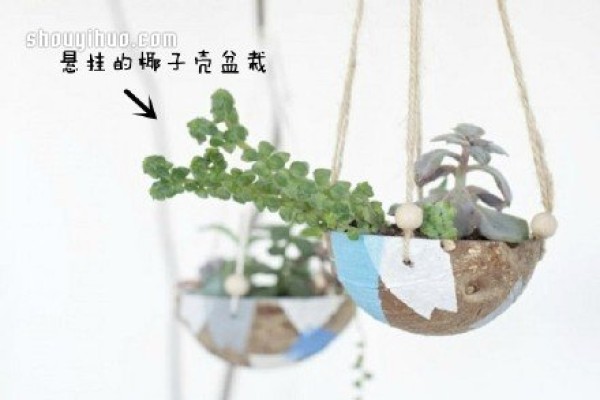 Creative potted plant DIY using waste