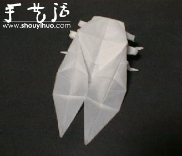 Appreciation of Insect Origami Works