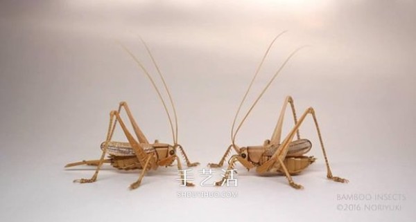 Exquisite insect model made of bamboo, almost like the real thing! 