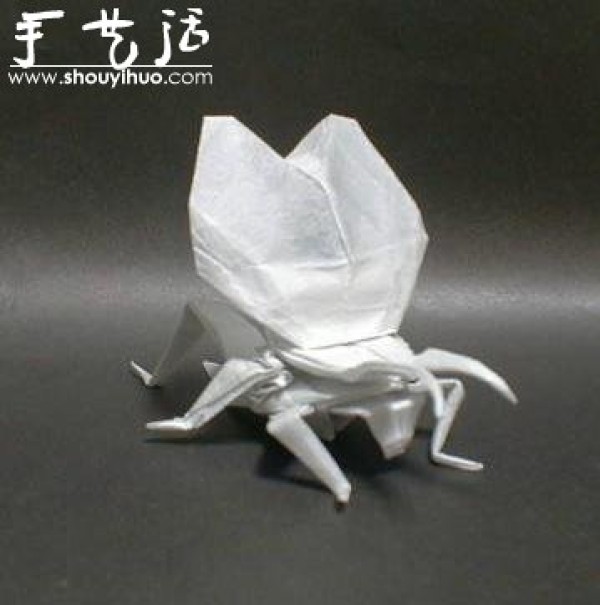 Appreciation of Insect Origami Works